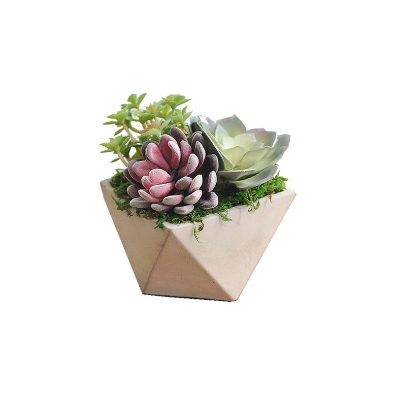 九思包邮手作真植物art206小摆件