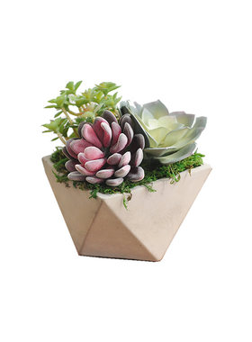 九思包邮手作真植物art206小摆件
