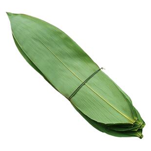 粽叶新鲜粽子叶竹叶超特大号现摘现发真空包粽子的天然鲜棕叶箬叶