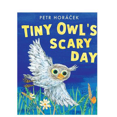 【预售】小猫头鹰惊险的一天（平装）英文儿童绘本虚构类Petr Horá?ek进口原版书平装3岁-6岁Tiny Owl’s Scary DayWalker Book