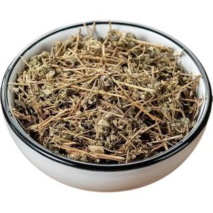 地锦草晒干血见愁红丝草奶浆草草血竭奶汁草铺地锦铺地红卧蛋草