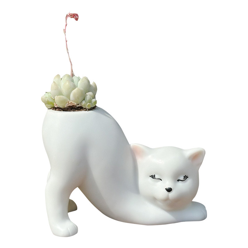 可爱九尾狐猫尾巴阳台多肉花盆