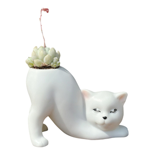 可爱九尾狐猫尾巴阳台多肉花盆