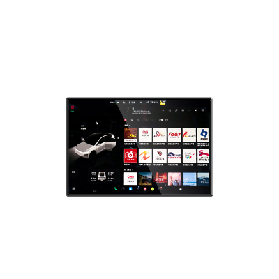 【免费安装】特斯拉专用钢化膜