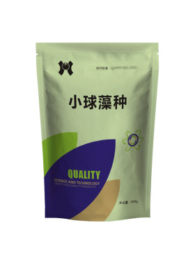 复合小球藻藻种复合水产养殖