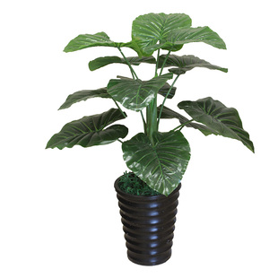 假绿植仿真植物装饰室内塑料假花小盆栽客厅假树芭蕉树落地摆设