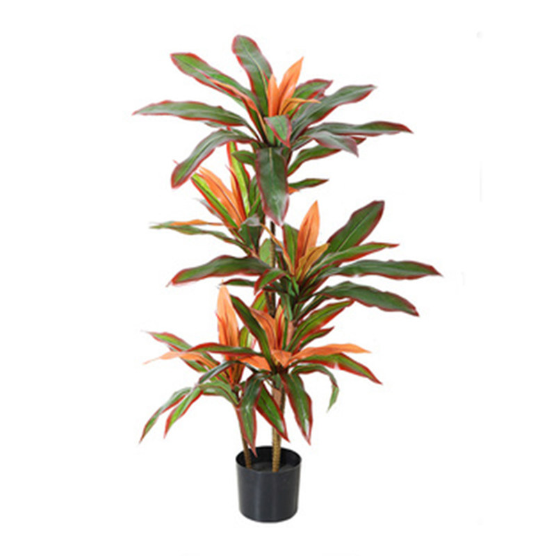 仿真植物盆栽红铁树sai冠工艺源