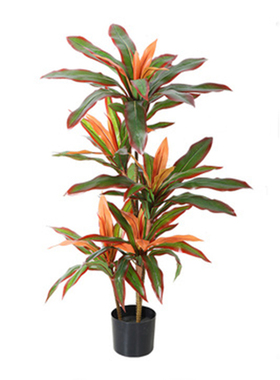 仿真植物盆栽红铁树sai冠工艺源