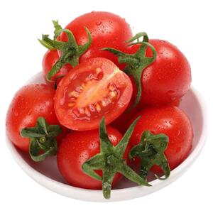 新鲜圣女果生吃千禧小番茄超甜爆汁樱桃小西红柿自然熟蔬菜