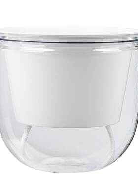 自吸水塑料金钱草水培花盆吊盆