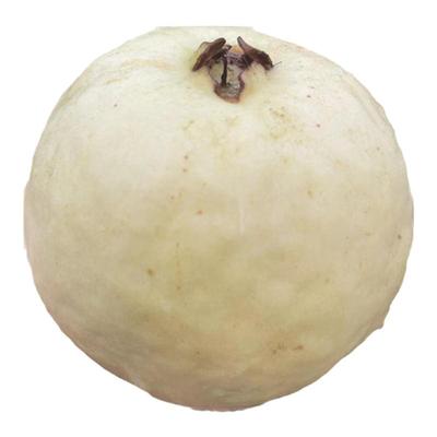 福建奶油白心芭乐软糯