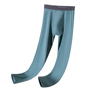 秋裤男士纯棉线裤薄款保暖裤男款内穿衬裤抗菌新款打底棉毛裤冬季