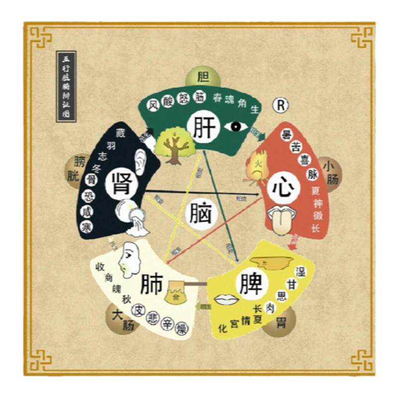传统国学装饰画五行相生相克图