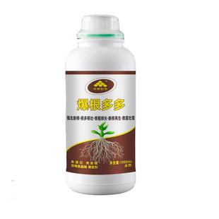 年辉爆根多多升级版鱼蛋白强生新根根多根旺果树蔬菜营养液水溶肥