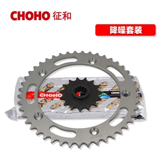 征和旗舰店适用隆鑫无极LX500DS/AC 525AC/DS/R油封链条链轮摩托