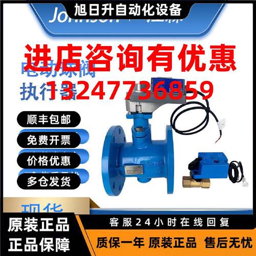 议价江森VG1205AN/BN VG1205CP VG1205ES FT 电动二通螺纹球阀 VA