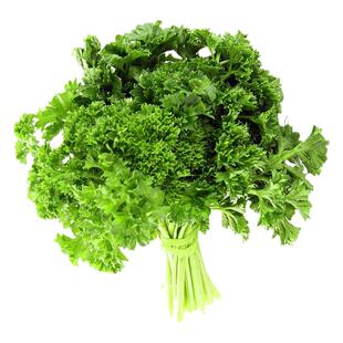 法香皱叶香芹种子香草香芹菜种籽青菜籽农家四季阳台盆栽蔬菜种孑