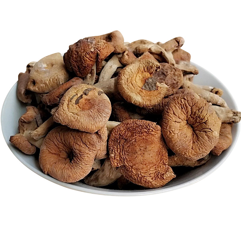 野生油蘑菇干货500g黄农家特产