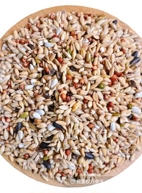精英B清除无玉米粒红高粱小麦鸽粮鸽子专用粮食粮50斤包邮