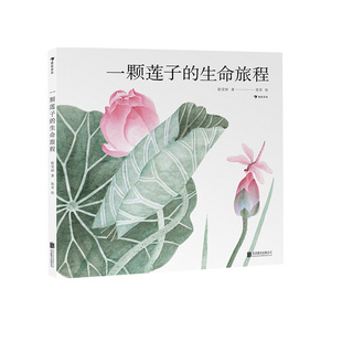 【附赠大海报】浪花朵朵正版 一颗莲子的生命旅程 文津图书奖 国画传统文化自然科普绘本任选 后浪童书