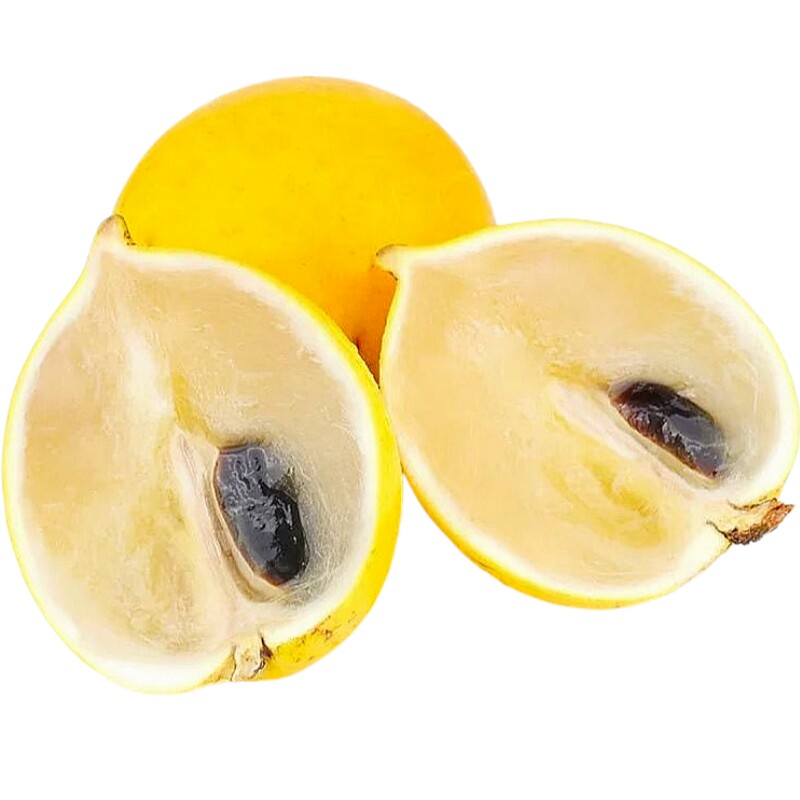 【顺丰速发】冬蜜黄晶果新鲜