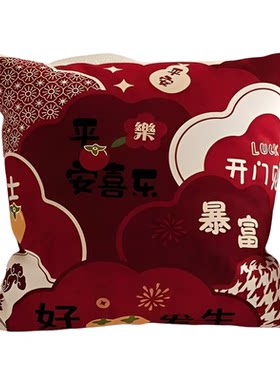 红色抱枕家用沙发客厅靠垫腰靠方形车用床头床上靠枕喜庆抱枕枕套