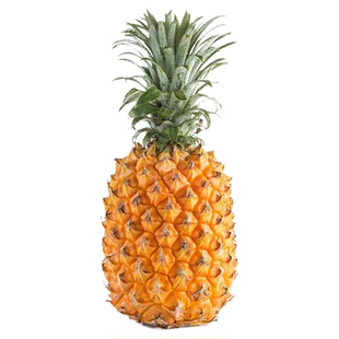 广东徐闻香水菠萝10斤现摘新鲜大果孕妇应季水果凤梨手撕整箱