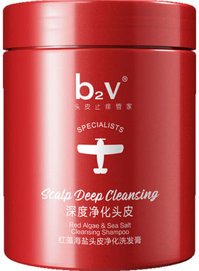b2v深度净化头皮海盐洗发水