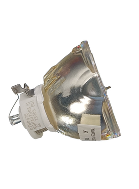 适用宝施玛PD-700W PL-700X PL-860WU PL-650WX+ PL-850WU PL-700X+ PD-800W PD-780X PL865HTD投影仪灯泡