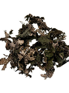 大理特产深山天然干货树皮菜