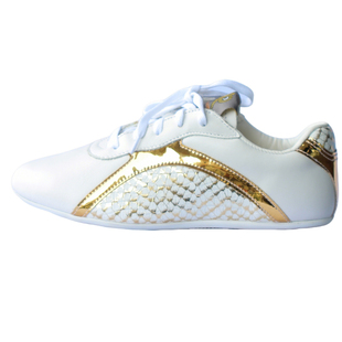 武道世家BUDOSAGA蛇年龙年虎年纪念款优质武术鞋表演太极鞋功夫鞋