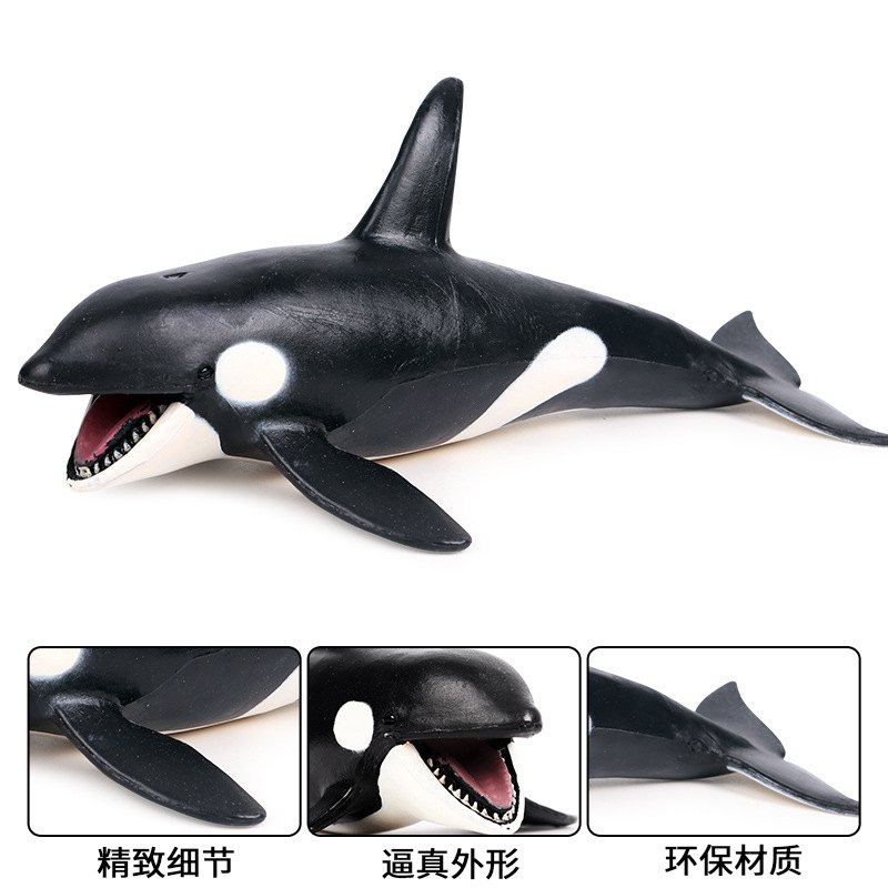 仿真海洋动物模型手办虎鲸玩具鲸鱼摆件塑胶模型静态儿童实心科教