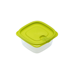 茶花保鲜盒塑料厨房整理盒食品冰箱冷冻可微波蔬菜水果分装打包盒