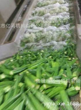 秋葵蔬菜清洗机 秋葵清洗烘干加工生产线 西蓝花清洗加工生产设备