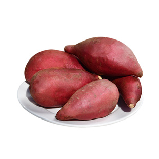 瓦房店蜜薯糖心红薯 新鲜现摘农家番薯助农红心山芋地瓜5斤