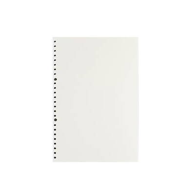 活页纸加厚多孔笔记本替芯可拆卸