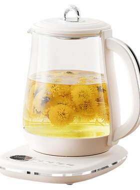 日本SDRNKA养生壶炖煮一体办公室煮茶器玻璃恒温热水壶家用烧水壶