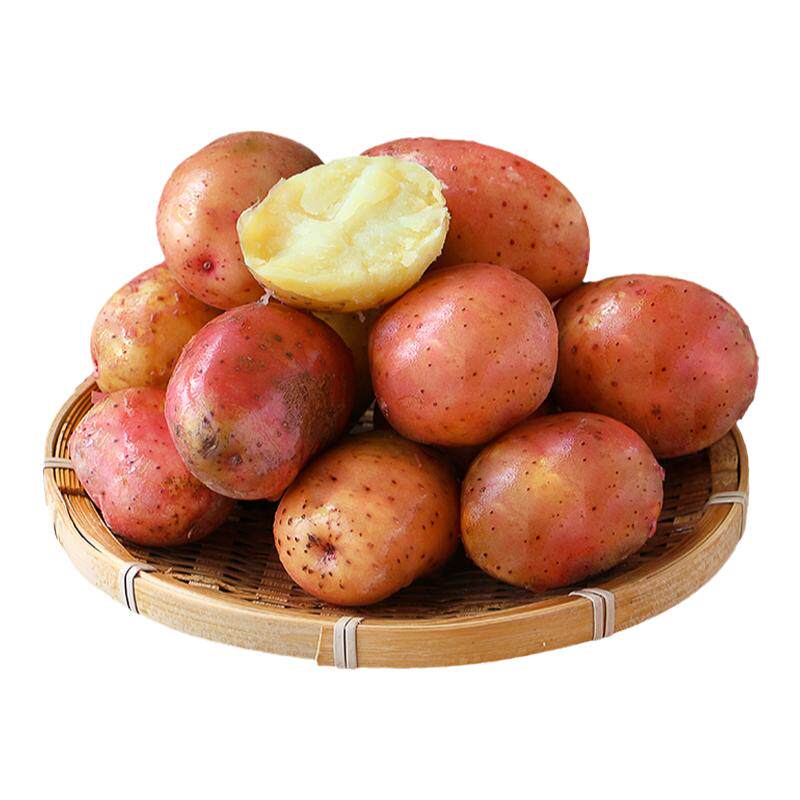 红皮黄心小土豆现挖云南新鲜高原农家自种蔬菜红皮土豆非大马铃薯