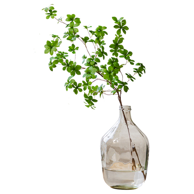 仿真吊钟网红马醉木室内