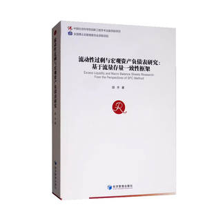 正版包邮 流动性过剩与宏观资产负债表研究:基于流量存量一致性框架:fromtheperspectivesofSFCmet 证券 书籍9787509662922