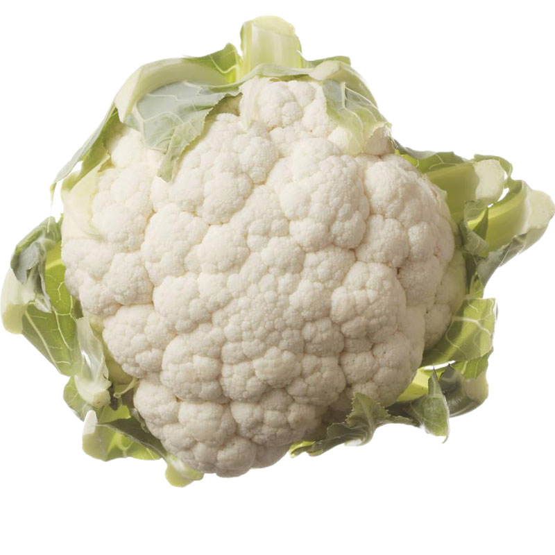 妍白60天花椰菜种子菜花秋季花菜蔬菜种籽秧苗带土苗秧白花菜种