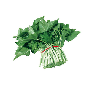 台湾纯白梗大叶空心菜种子 高产抗病四季播大田白梗空心菜种子