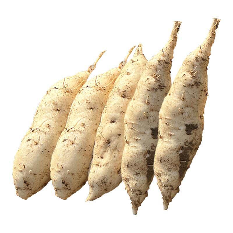 新鲜白皮人参薯现挖9斤