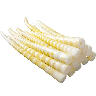 嘉乐鲜生笋尖鲜嫩脆肉厚芯细水少