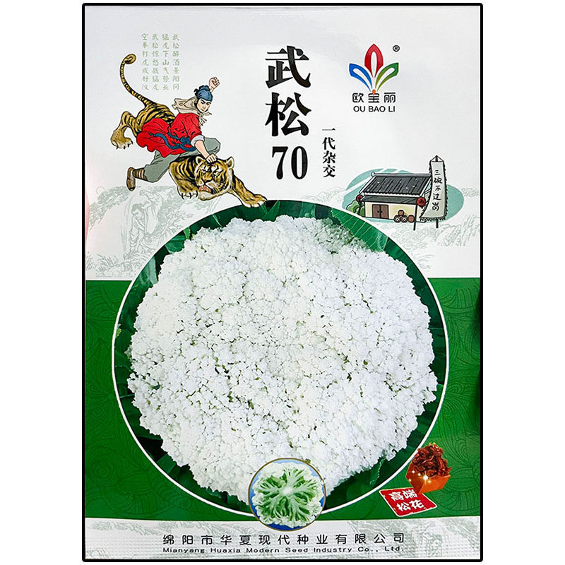 杂交高产有机70天松散花菜种子