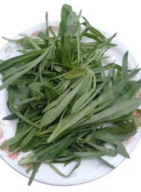 面条菜羊蹄颗新鲜时令菜