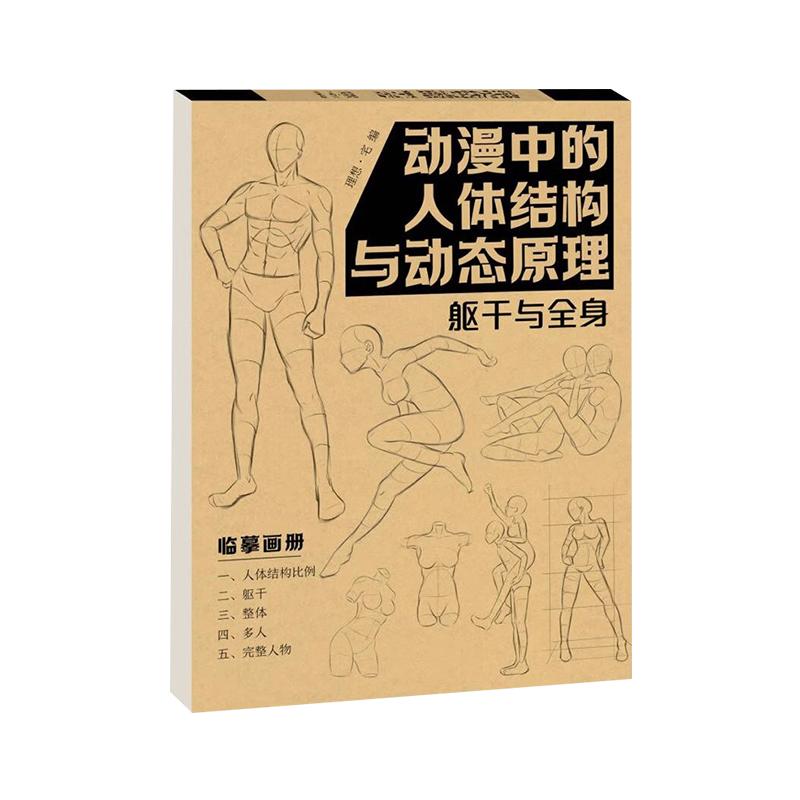 动漫中的人体结构与动态原理2本套装 躯干与全身+头部与四肢临摹画册 人体结构造型临美术练习册