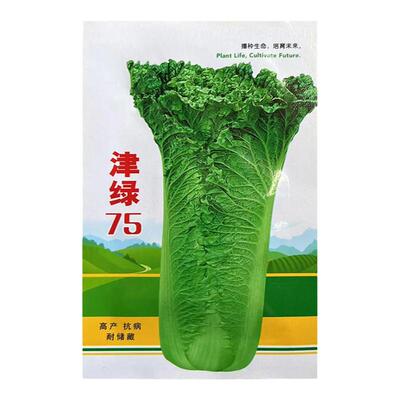 天津青麻叶大白菜种籽大全青口黄心种子秋播四季阳台庭院蔬菜种孑