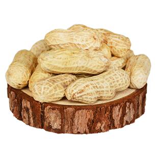 新鲜花陈皮生红裕丰甜酒花生客家特产乡下咸干蒜香味花生炒货坚果