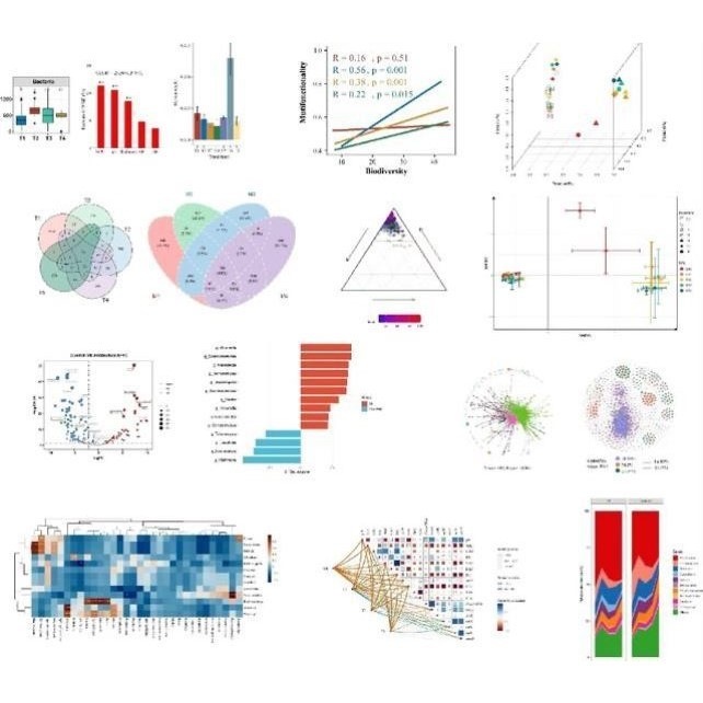 基因组结构方程建模GenomicSEM SuSIE FINEMAP生信分析服务